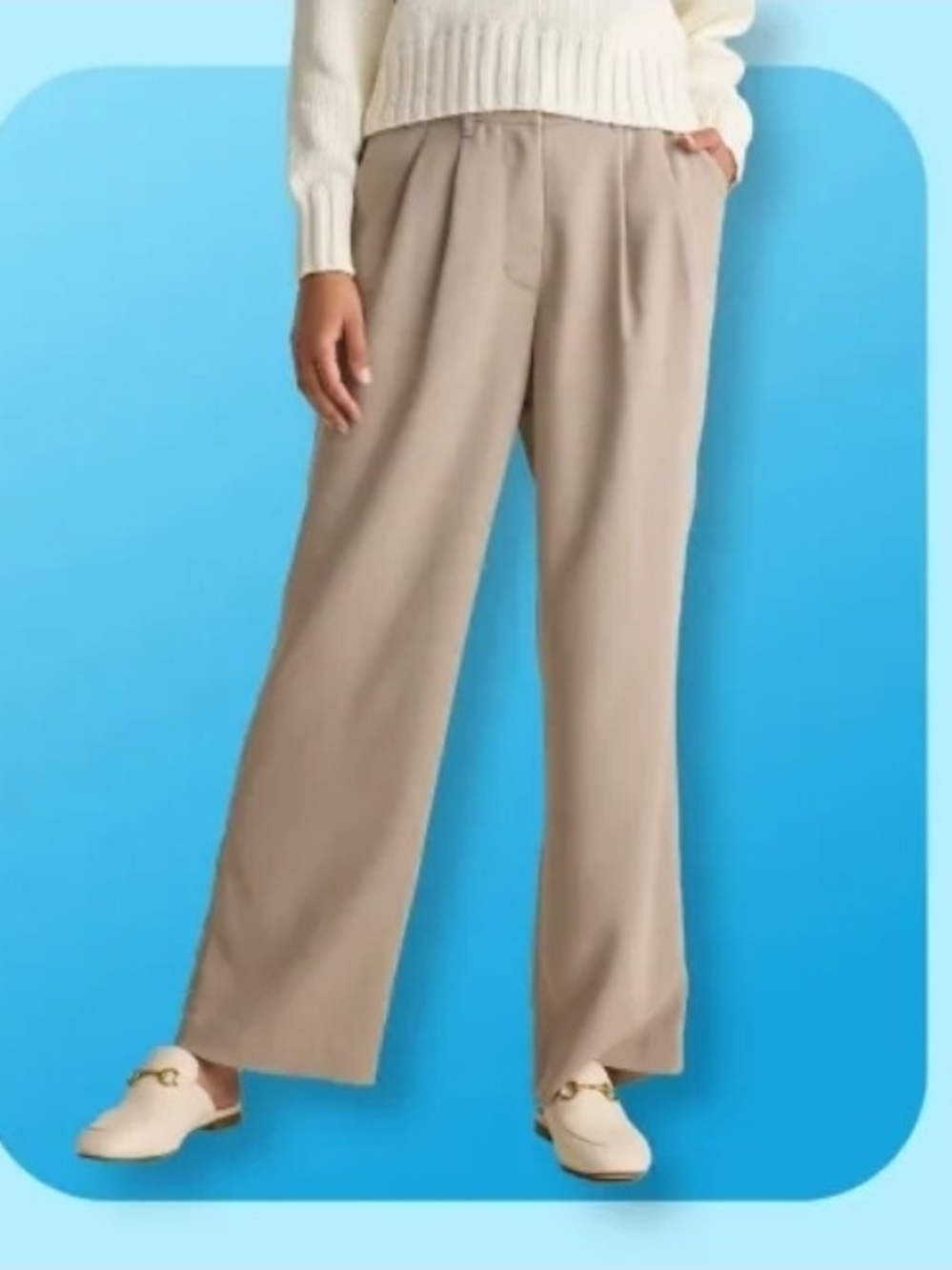 Quince Taupe Wide-Leg Pleated Trousers
